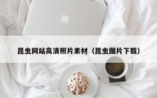 南京昆虫网站高清照片素材（昆虫图片下载）